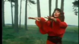 Watch Kate Bush - Wuthering Heights - Official Music Video - Version 2 Video