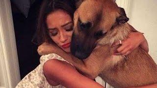 Watch Celebs Show Off Their Pups for National Dog Day! Video