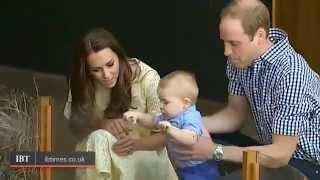 Watch Kate Middleton Pregnant with Second Royal Baby Video