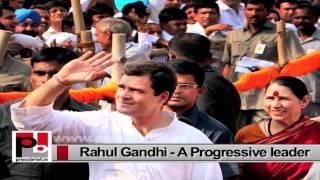 Watch Rahul Gandhi-We will deal with internal problems in the Congress party Video