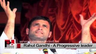Watch Rahul Gandhi-We will deal with internal problems within the Congress Video
