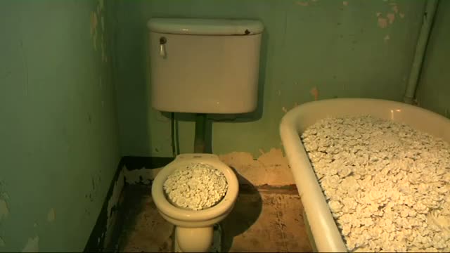 Watch Alcatraz Exhibit Highlights Political Prisoners Video