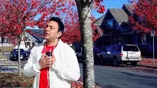 Watch DIL NAHEEN LAGDA - MANMOHAN WARIS - OFFICIAL PUNJABI MUSIC VIDEO Video