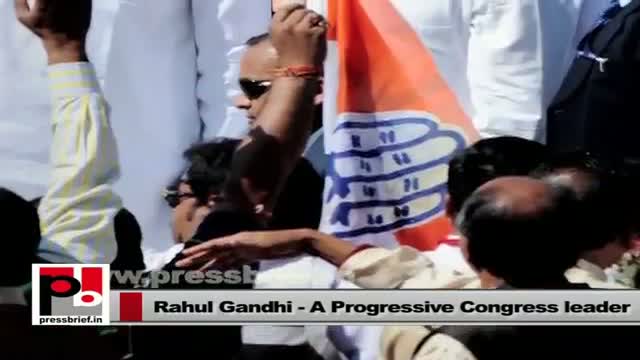 Watch Congress Vice President Rahul Gandhi slams Narendra Modi and NDA govt Video