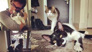 Watch The CW Stars' Fluffy and Furry Friends Video