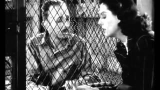 Watch HIS GIRL FRIDAY (1940) (Full Movie) Video