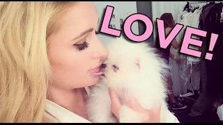 Watch Paris Hilton's New Dog Makes Other Dogs Jealous Video