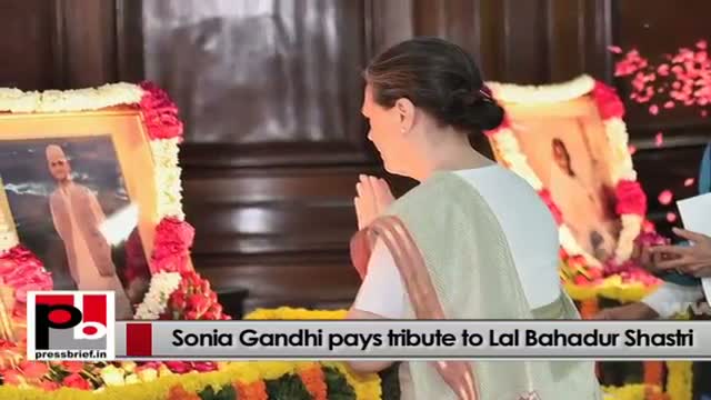 Watch Congress President Sonia Gandhi always concerned over crimes against women Video