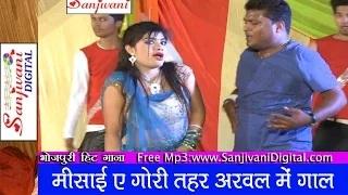 Watch Misai e gori tohar arwal main gal | Chhotu Chhaliya | 2014 New Hot Bhojpuri Song Video
