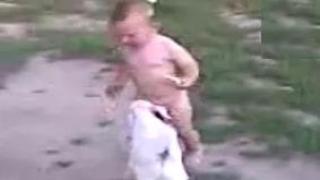 Watch Dog Pouncing Little Kids Private Parts Video