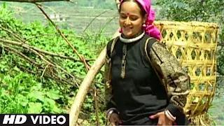 Watch Jikudi Dhadak Dhadak Kadi (Garhwali Video Song) | Nayu Nayu Byo Ch | Narendra Singh Negi, Anuradha Nirala Video