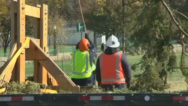 Watch Capitol Christmas Tree Arrives in DC Video