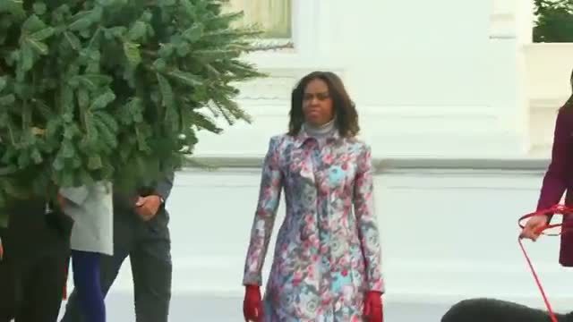 Watch Christmas Tree Arrives at White House Video