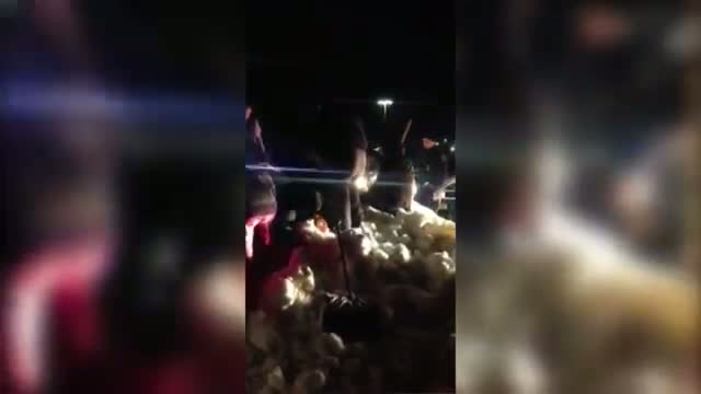 Watch NY Boys Survive After Hours Buried in Snow Video