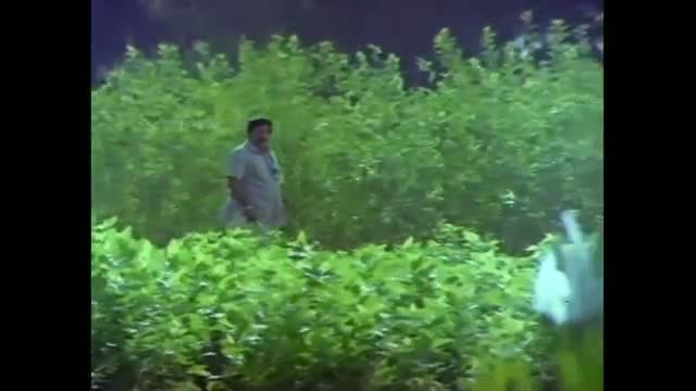 Watch Poongatru Thirumbuma | Ilaiyaraja | Janaki | Sivaji Ganesan | Mudhal Mariyathai - Tamil Melodious Song Video