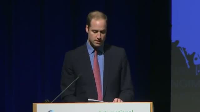 Watch Prince William to Lead Wildlife Trade Task Force Video Video