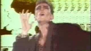 Watch Tarzan Boy - Baltimora (Official) Video