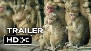 Watch Monkey Kingdom Official Trailer #1 (2015) - Disneynature Documentary HD Video