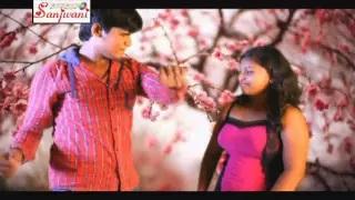 Watch Bhagal Jata Dekha Hai Mal Re - Bhojpuri Hot Video Song | Shankar Bihari Video