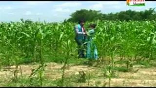 Watch Hamra Ke Jhari Me Roje Bulawe - New Bhojpuri Hot Video Song | Bindra Bihari, Sweta Sharma Video