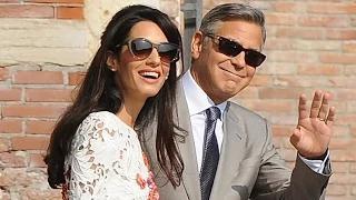 Watch The Biggest Entertainment News Stories of 2014 Video Video