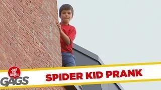 Watch Most Amazing Kid Thief Ever - Throwback Thursday (Funny Video) Video