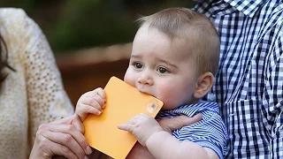 Watch What Prince George Has Taught Us Video Video