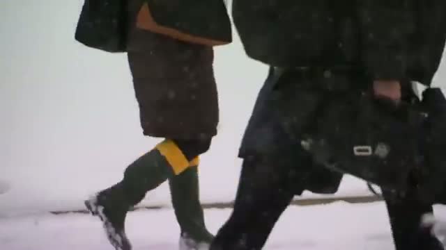 Watch Government Open As Snow Blankets Washington Video Video
