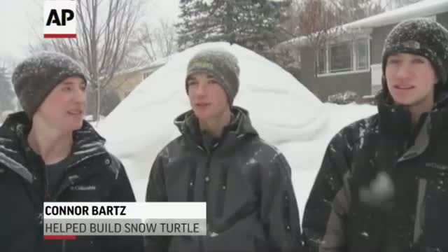 Watch Minnesota Snow Turtle Measures 12 Feet Tall Video Video