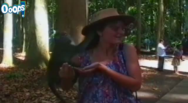 Watch Funny Videos 2014 - Funny Video Clips! Video