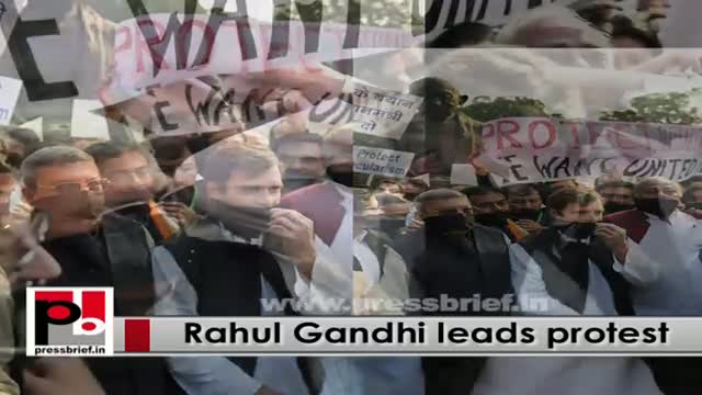 Watch Rahul Gandhi leads Congress protest against Modi govt Video