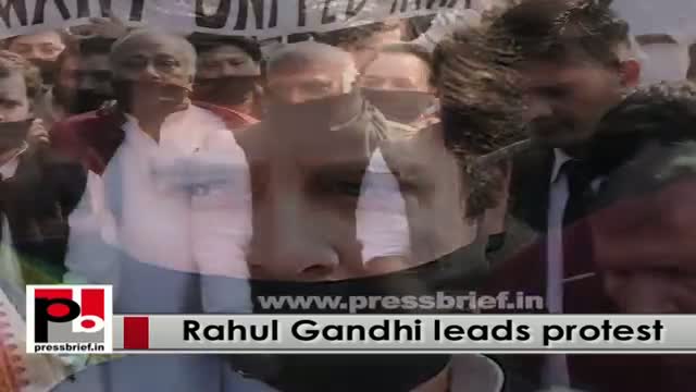Watch Rahul Gandhi leads protest against BJP govt at the centre Video