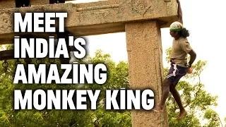 Watch From Suicidal to Scaling Walls: India's Amazing Monkey King Video