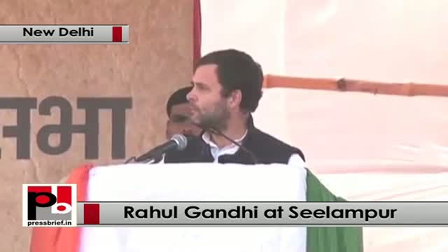 Watch Delhi polls: Rahul Gandhi addresses Congress rally, attacks BJP, AAP, PM Modi Video