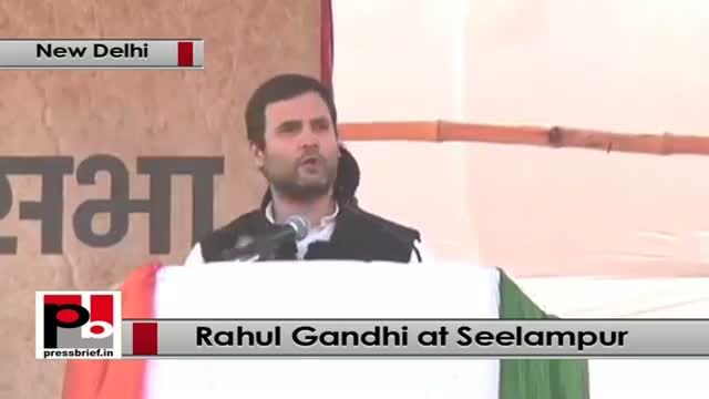 Watch Delhi polls : Rahul Gandhi addresses Congress rally, slams AAP, BJP Video