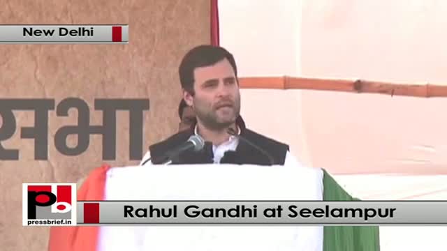 Watch Delhi polls : Rahul Gandhi addresses Congress rally, takes on BJP, AAP Video