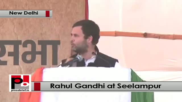 Watch Delhi polls - Rahul Gandhi targets BJP, PM Modi and AAP at Congress rally Video