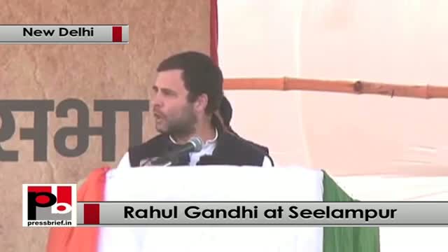 Watch Delhi polls - Rahul Gandhi lashes out at BJP, AAP at Congress rally Video