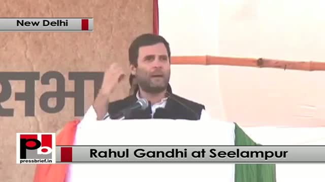 Watch Delhi polls - Rahul Gandhi takes on BJP, PM Modi, AAP at Congress rally Video