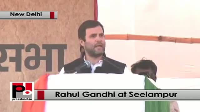 Watch Delhi polls - At Congress rally, Rahul Gandhi slams PM Modi, BJP, AAP Video