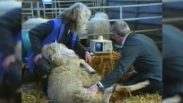 Watch UK Lawmakers Vote for Human Gene Modification Video Video