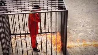 Watch Video published online by IS militants claims to show Jordanian pilot Moaz al-Kasasbeh burned alive Video