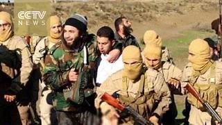 Watch ISIL video purports to show Jordanian pilot being burned alive Video