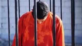Watch Jordanian Pilot Burned Alive in ISIS Video Video