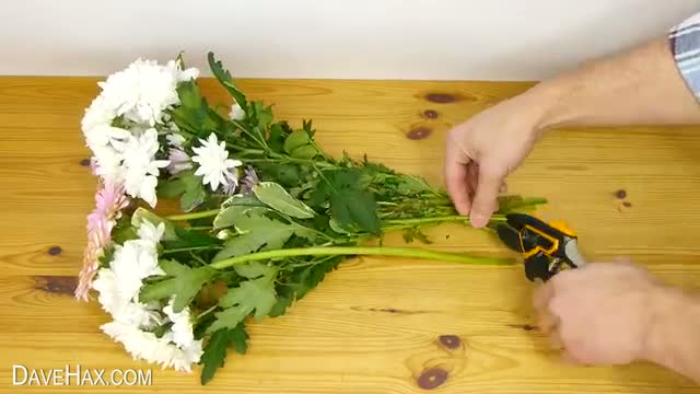 Watch Flower Arranging Trick -Valentines Day Special! Video