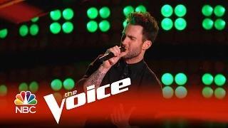 Watch The Voice 2015 - Adam Levine Blind Audition Video
