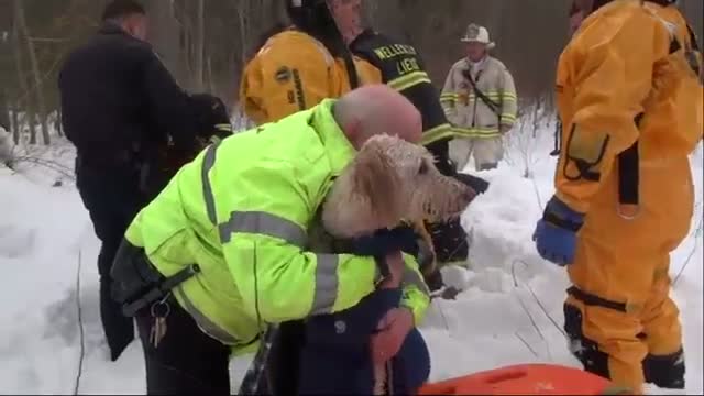 Watch Dog Rescued From Ice on Charles River  Video