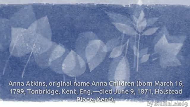 Watch Anna Atkins' 216th Birthday - Google Doodle Video