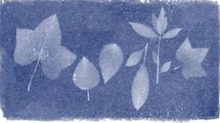 Watch Anna Atkins' 216th Birthday Celebrated by Google Doodle Today, 16 March 2015 Video
