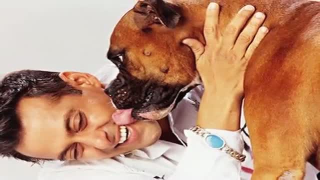 Watch Salman Khan Gets EMOTIONAL After His DOG's Demise Video